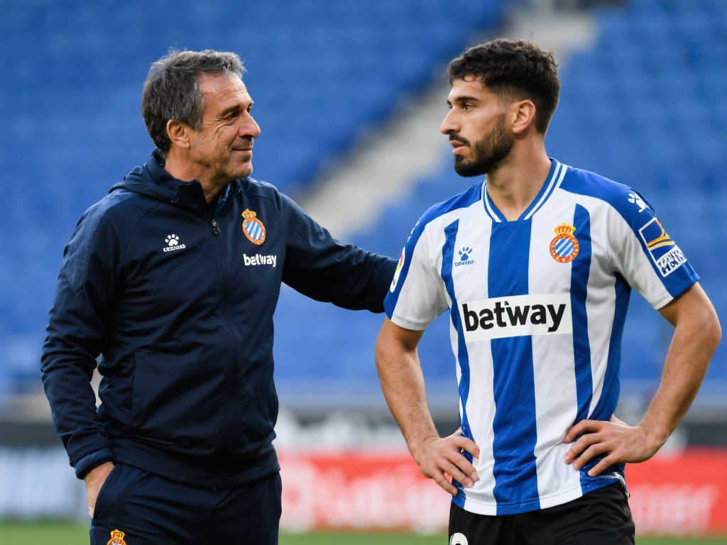 他凭借在欧 他凭借在欧